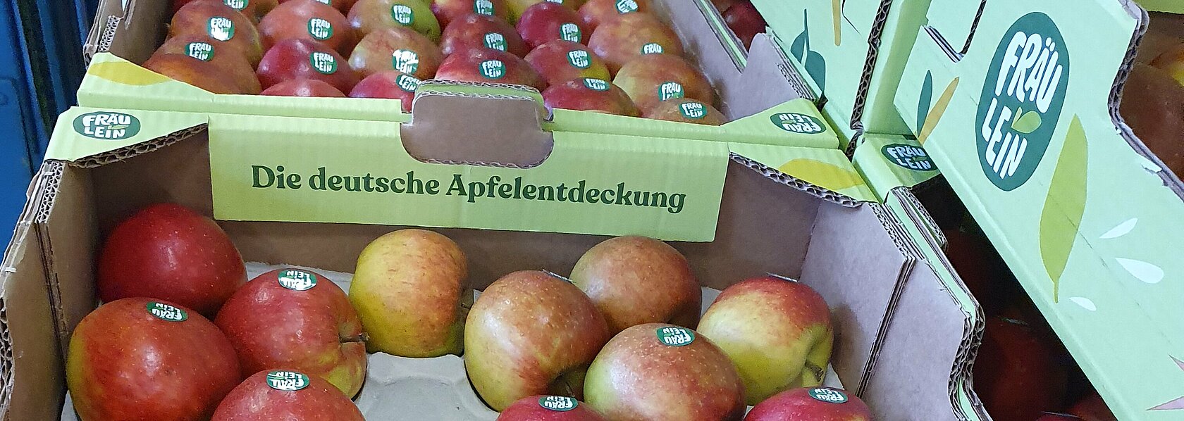 Apfelsorte Fräulein Apfelsorte Fräulein