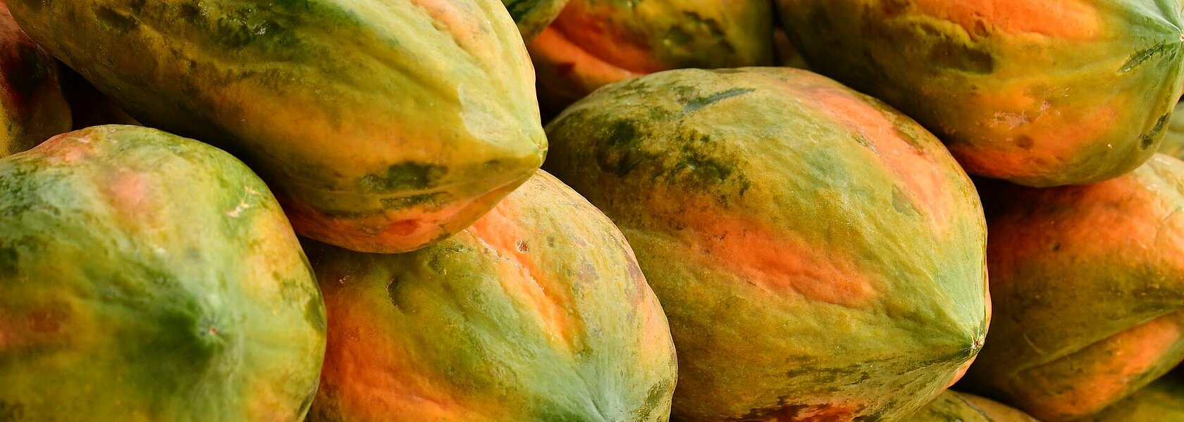 Papaya Papaya