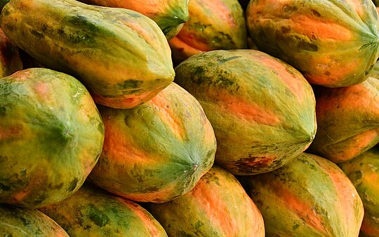 Papaya