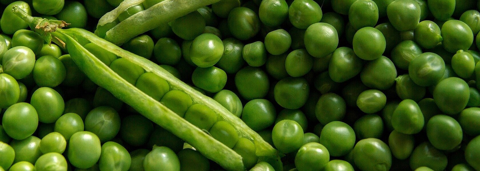 Erbsen Erbsen