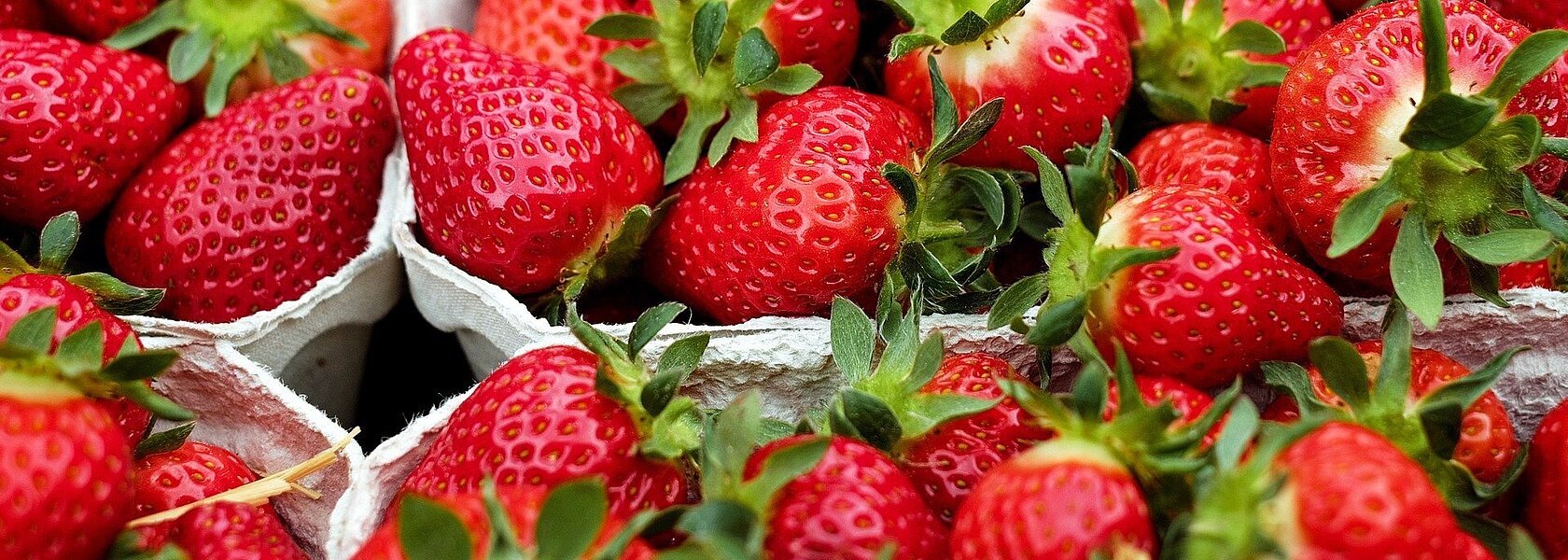 Schalen mit Erdbeeren Schalen mit Erdbeeren