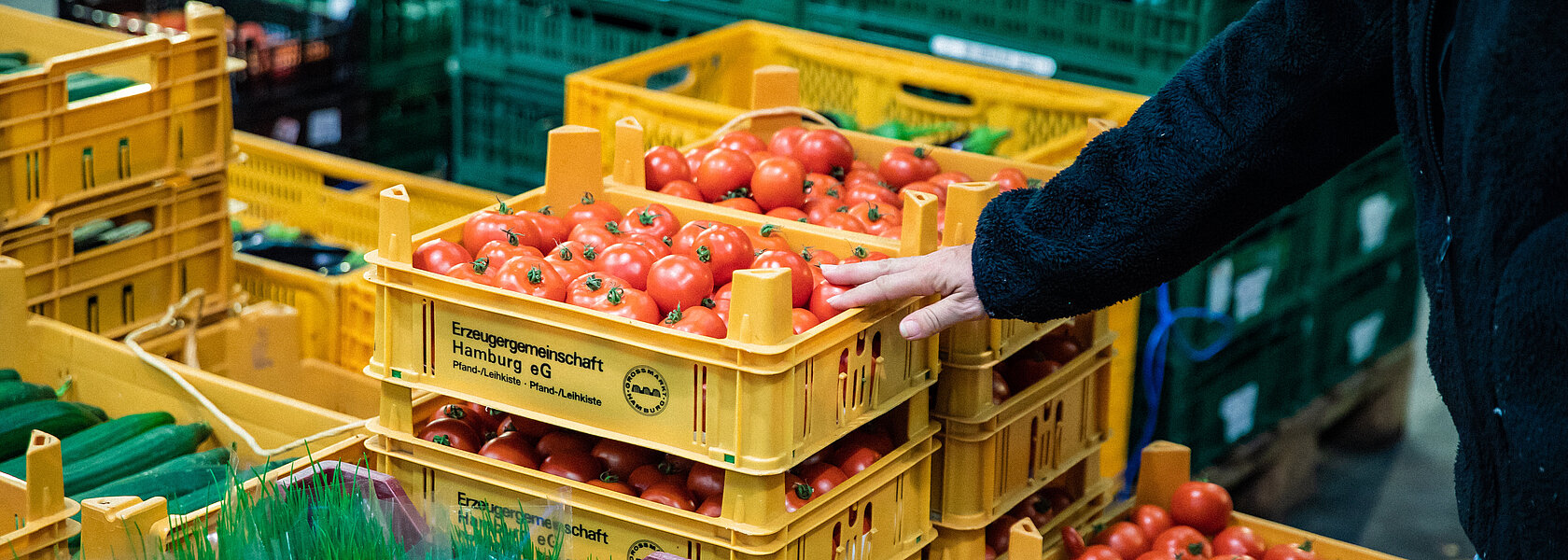 Ein paar Kisten Tomaten von der Erzeugergemeinschaft Ein paar Kisten Tomaten von der Erzeugergemeinschaft