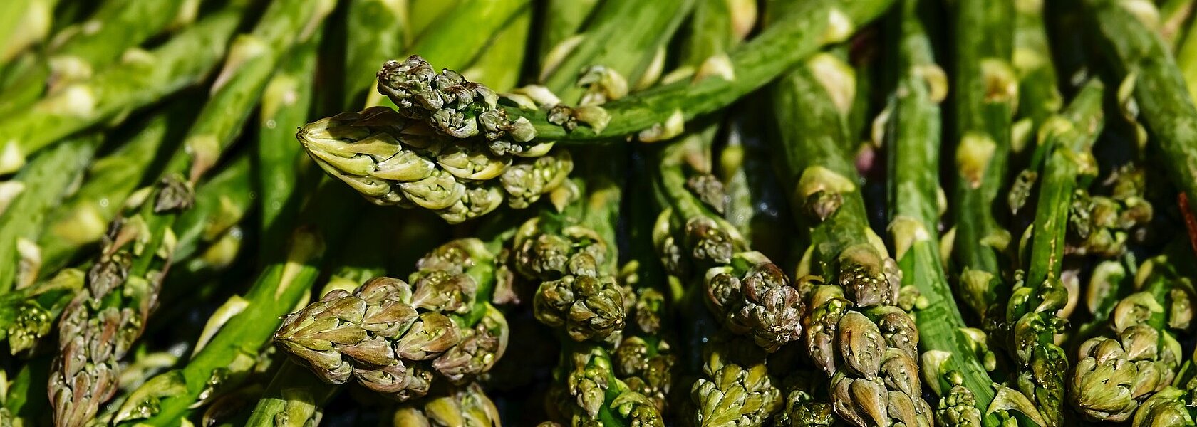 Grüner Spargel Grüner Spargel