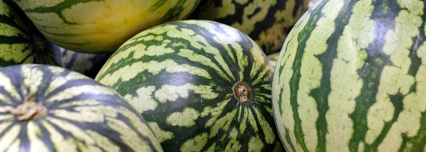 Wassermelonen Wassermelonen