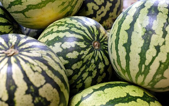 Wassermelonen